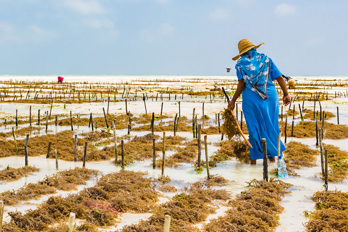 Agriculture
