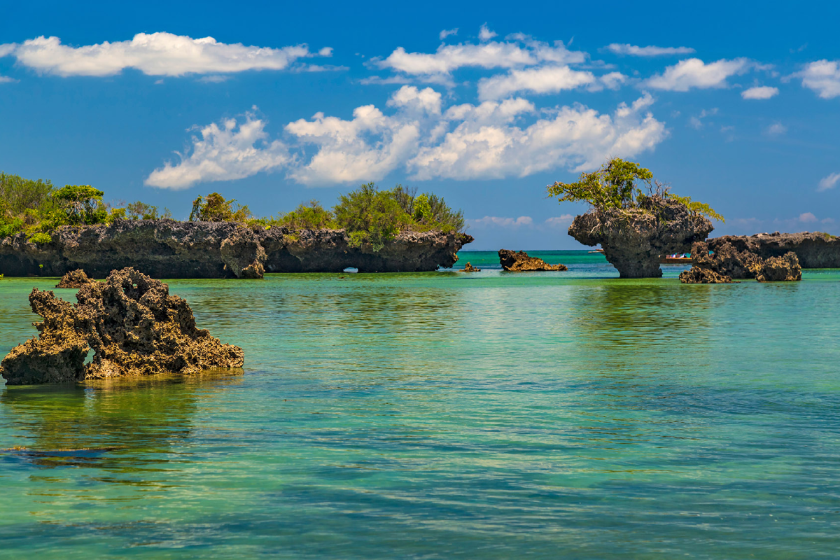 Blue Forests of Zanzibar