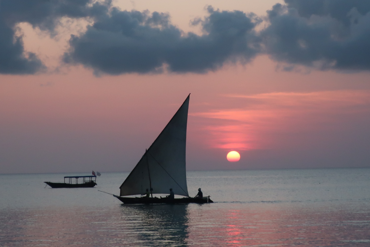 Impacts on Zanzibar