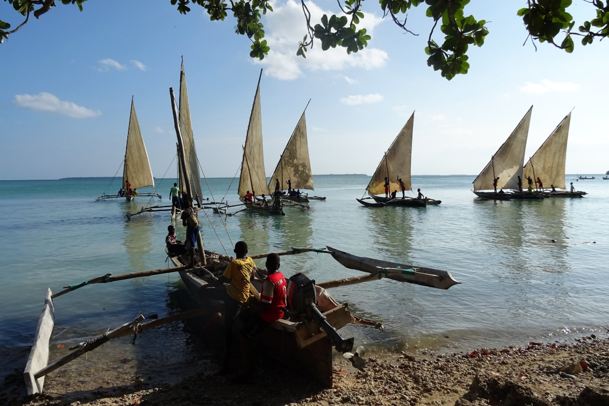 Digitall Dhow