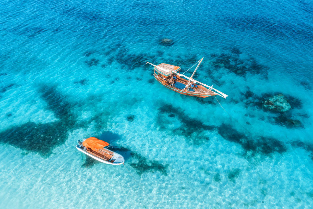 Zanzibar wells to Wellness