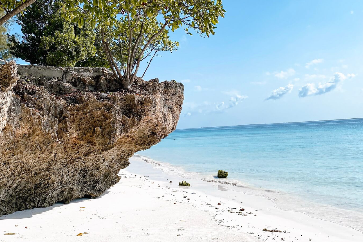 Protect Zanzibar