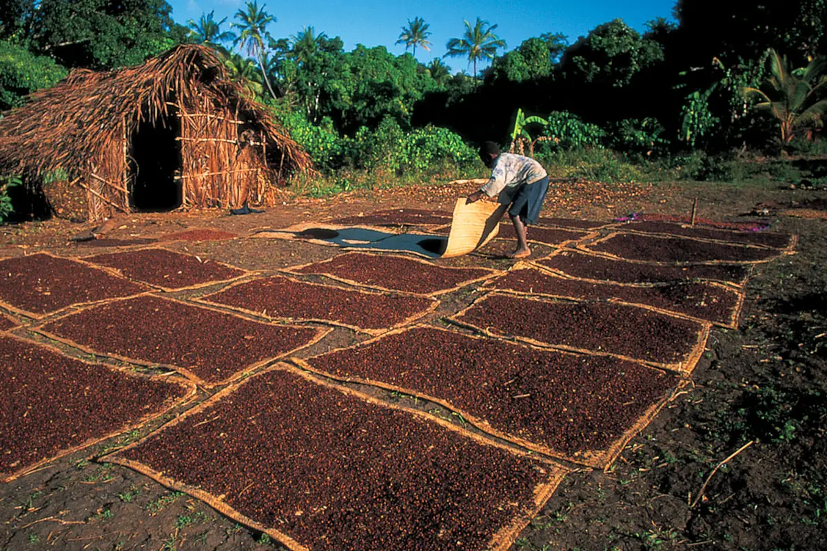 Sustainability Plan