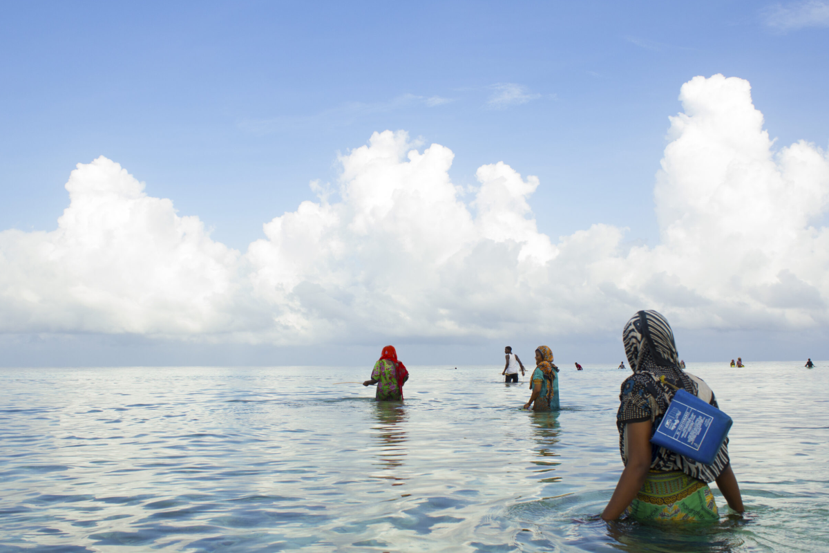 Water In Zanzibar