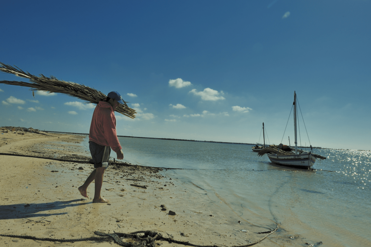Coastal Erosion