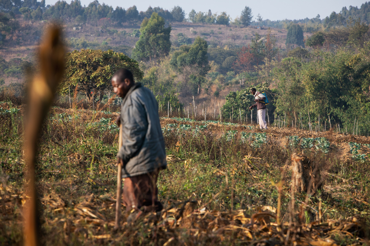 climate smart agriculture