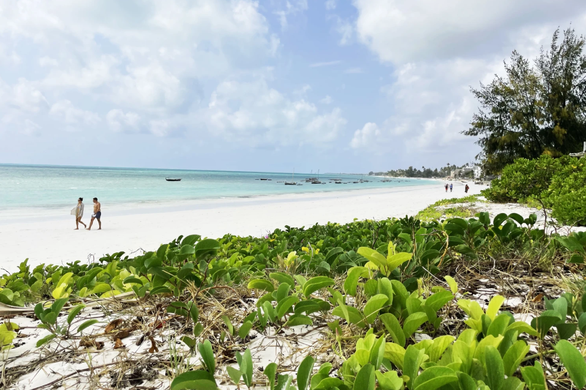 Rising Zanzibar