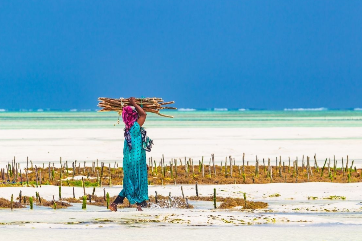 Zanzibar Water Lift